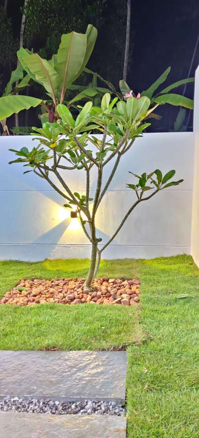 lanscaping