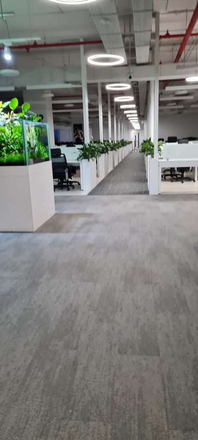Corporate Rental Plants at #cochin #Infopark #plantsforhire Monthly #Maintenance with Rotation of plants
Daily Rental for Occasions.
