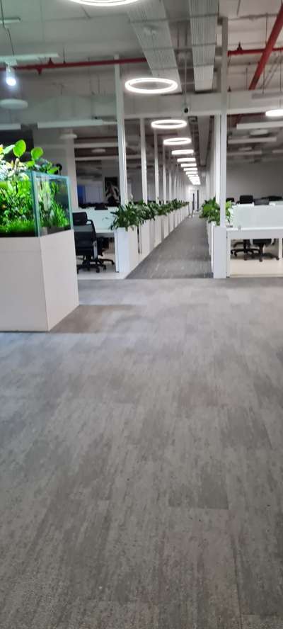 Corporate Rental Plants at #cochin #Infopark #plantsforhire Monthly #Maintenance with Rotation of plants
Daily Rental for Occasions.