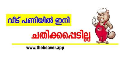 www.thebeaver.app