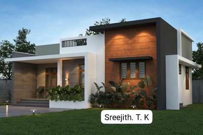 2.5 സെന്റിൽ നിർമ്മിക്കാവുന്ന 650 sqft veed. 2 BHK.