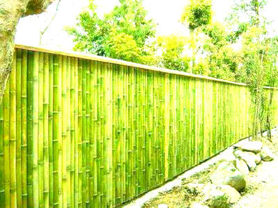 #bambooFences