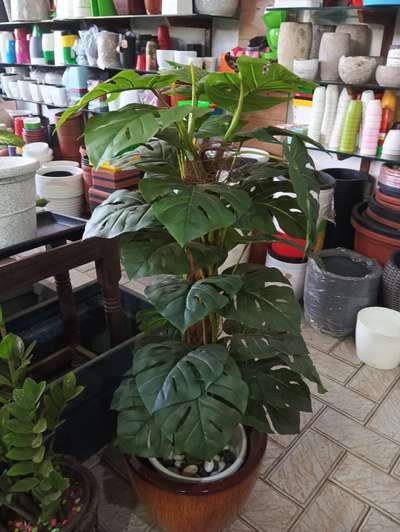 #ARTIFICIALPLANTS