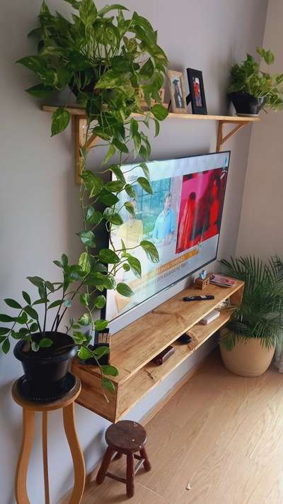 solid wood tv panels