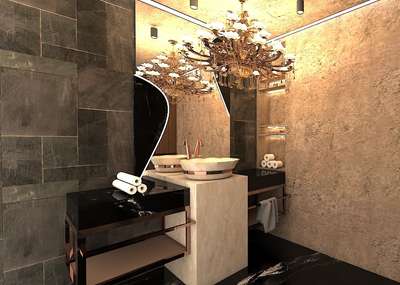 #Washroom #toiletinterior #mirrorwall