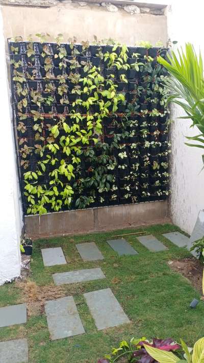 vertical Garden