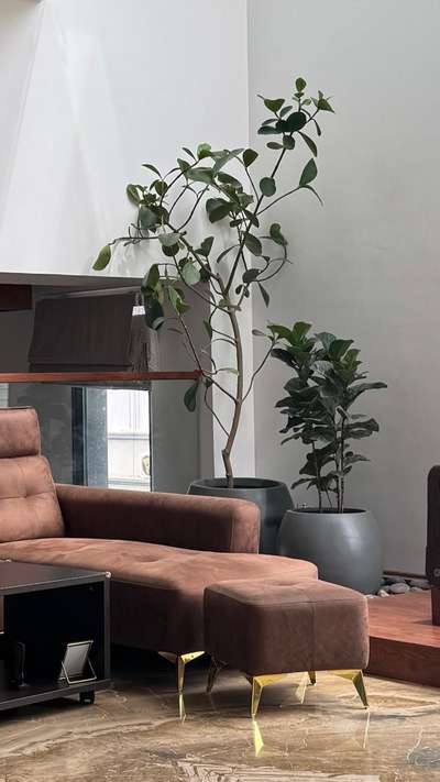 #modernhome  #HouseDesigns #HomeDecor  #architecturedesigns  #InteriorDesigner