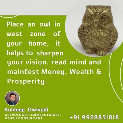 Place an owl in west zone of your home, it helps to sharpen your vision. read mind and mainfest Money, Wealth & Prosperity.
.
.
#VastuforBedroom #vastuclasses #astrologer_in_udaipur #vastuforhome #vastushastraexpert_kuldeepdwivedi #astrokuldeep #lifecoach