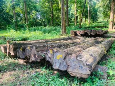 Nilambur Forest Teak Wood Logs 
 @teekaytimbers  
#forestteak #nilamburteak #teakwoodlogs