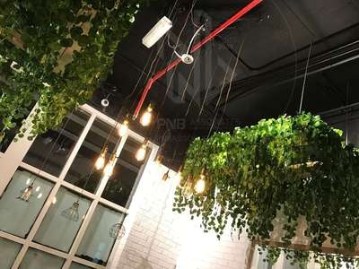 #green interior
