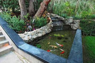 Beautiful Backyard Pond Ideas