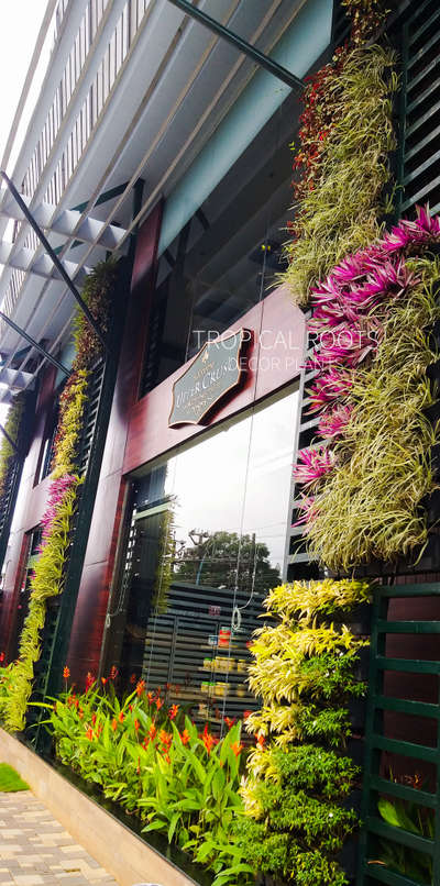 The tallest  automated vertical garden in Kochi by Tropical Roots Landscaping#client-Supreme uppercrust restaurant,Kochi#live green wall#automated drip irrigation#landscaping services in Kochi.