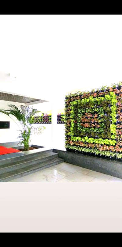 This summer go with natural vertical garden in your unused or dead space with Floret decorr solutions at pocket friendly cost.

chat with us for given link below

https://wa.me/message/PD6KMJTRMBOZP1 

#kolopost #viralkolo #trending #2025 #VerticalGarden #naturalgarden #green #terracegarden #outdoor #Indoor #BalconyGarden #parkingwall #wall #floretdecorrsolutions