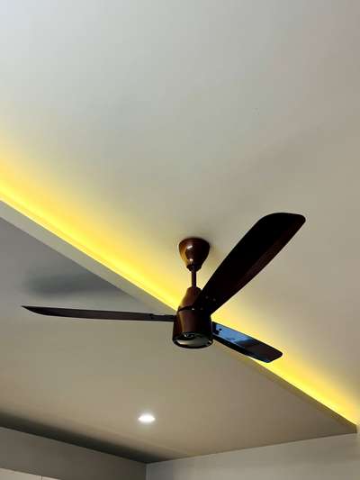 Electric strip lights #CelingLights  #striplighting