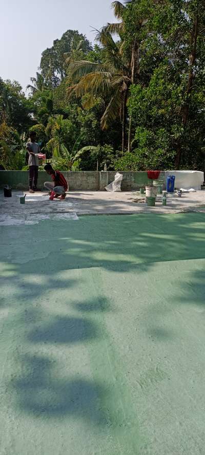 Ernakulam koonamave location fiberglass mate coating green colour