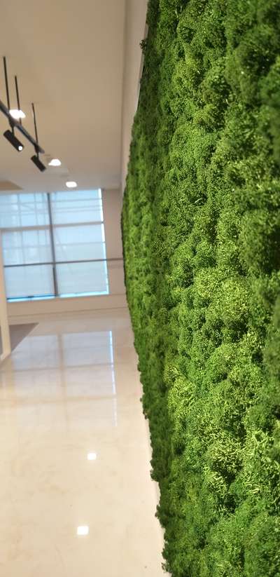 moss wall paneling Natural moss