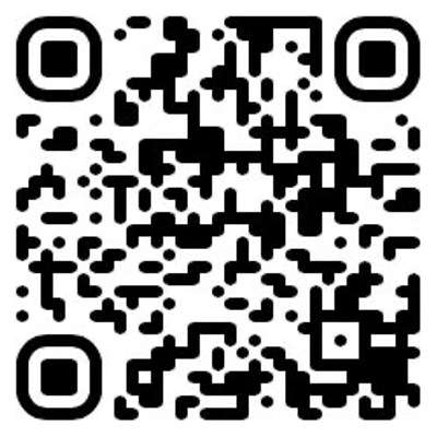 # website vidit detail elegant design