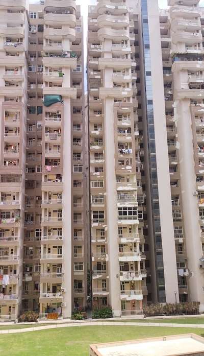 Noida extantion