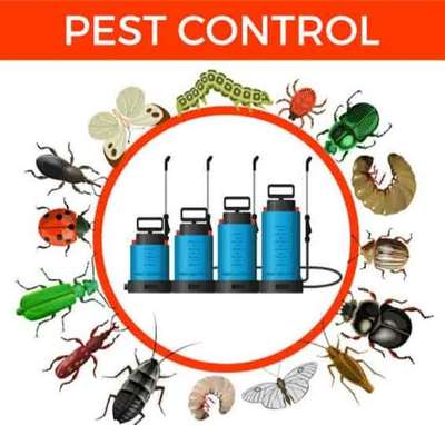 #ANUPMAPESTCONTROLLERINDIA
ATT PIPE FITTING, ATT TERMITE, COCKROACH, BED BUGS, LIZARD ETC, FOGGING OR FUMIGATION