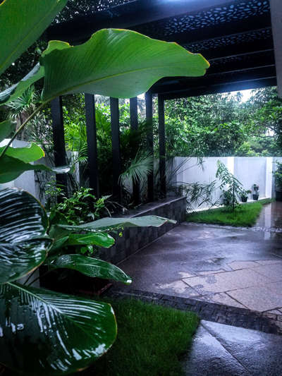 #LandscapeDesign #homegarden   #courtyardgarden  #patio #Designs 
#tropicalvibes  #tropicalplants