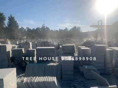 Tree House 9895898908