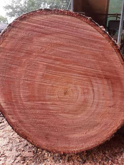 Mahogany wood  #mahoganywood
