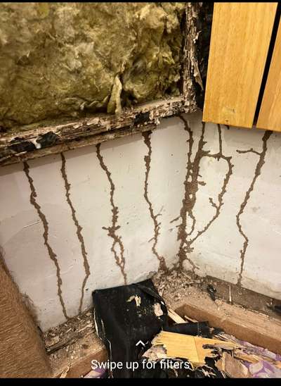 # Termite # wood # Attack # interior #  Pest control # white Ants # promise pc # kerala # service