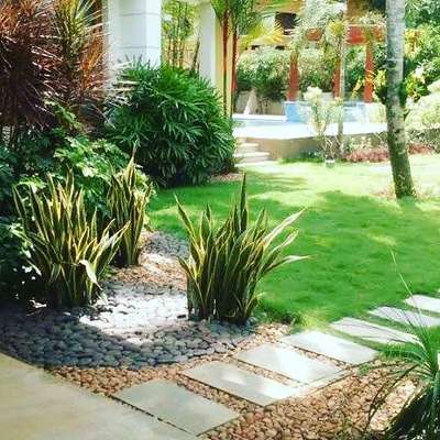 glitter designz landscape & pools
tvm, poojapura

contact: 9447447618,
                7012547317 
 #garden  #VerticalGarden  #RoseGarden  #BalconyGarden  #FlowerGarden  #KitchenGarden  #RockGarden  #gardendesigner  #gardening  #gardenstone  #MexicanGrass  #zoasisgreengrass  #LandscapeGarden  #pebbleswork  #plantsofinstagram 
https://koloapp.in/posts/1628774335