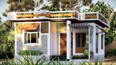budget home design 
#lumion #realistic #keralaarchitecture #lowcostdesign