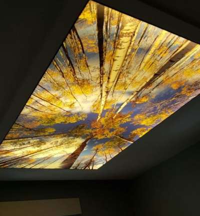 3D stretch ceiling