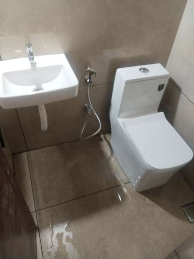 Toilet  maintenance  work