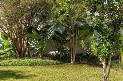 #GardeningIdeas   #LandscapeIdeas