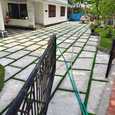 #BangaloreStone #MexicanGrass #IndoorPlants #pearlgoldpaint #