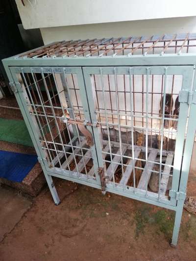 sylinder safety cage