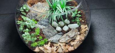 Mini Terrarium

#terrarium #GardeningIdeas #gardening_love  #IndoorPlants #indooroutdoorgreen