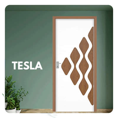 Tesla FRP Door By Navrang