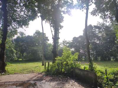 40 cent plot for sale. serious buyers message me inbox  #plotforsale #plot #forsale #Pandalam