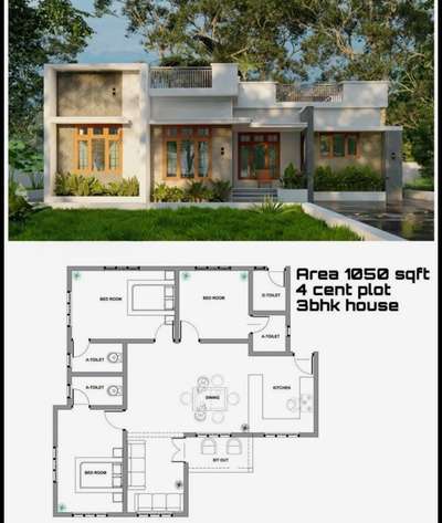 #budjecthomes  #lowbudget  #HomeDecor  #ElevationHome  #below1200sqft