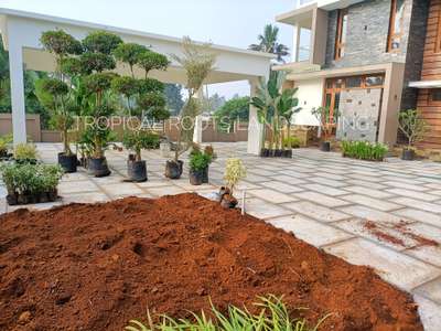 ongoing project# tropical roots landscaping,site location kochi
