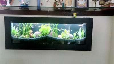 wall mounted aquarium

#Marvelaquasystem #marvelaquarium #plantedaquariummalayalam #GreenAqua #Aquarium #Aquascaping #Aquascape #NatureAquarium #PlantedTankmalayalam #Aquariumplants #Aquaticplants #aquascapingshop #Aquascapeforbeginners #Aquascapinghowto #aquariums #paludarium #nano #homedesign #homedecor #landscape #relaxation #wabikusa #jurjis #georgefarmerchillujalakam #ada #oliverknot #serpaedesigns #mayurdev #aquascaper