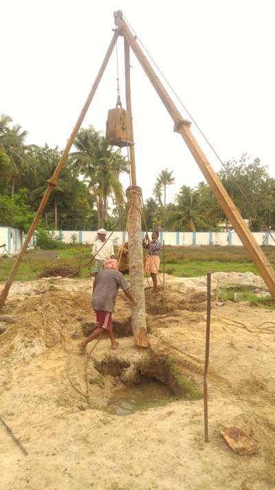 coconut piling 
Bamboo piling  #piling #