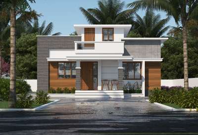 small budjet homes 1100sq  New 3D work