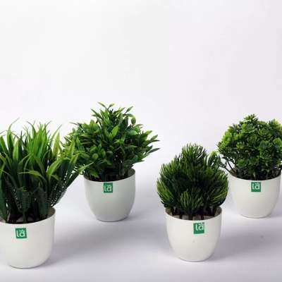 Leafy Dew-Unique Decoration Artificial Plants Combo of 4 Different Design Bonsai Wild Artificial Plant with Pot
#interior #decor #ideas #home #interiordesign #indian #colourful#plants #decorshopping