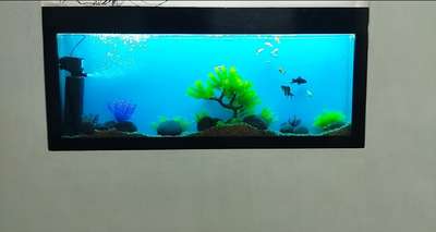 wall Aquarium