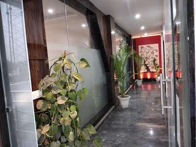 office interior & design