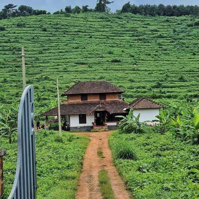 പാലക്കാട് കടമ്പഴിപ്പുറത്തെ വൈറൽ വീട് 
#home #TraditionalHouse #naturelove #nature #green⁠ #homesweethome #plants #kerala #Palakkad #oldhomes