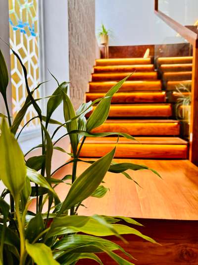 wooden stair 
#Plan #Elevation #Architect #3DElevation #ElevationDesign #ModularKitchen #FrontElevation #LivingRoom #Traditional #HomeDesign #Nalukettu #Nadumuttam #FloorDesign #TraditionalHouse #WallDesign #Garden #3D #4BHK #3BHK #3BHKPlan #MasterBedroom #TVUnit #House #Landscape #WardrobeDesign #DrawingRoom #KitchenDesign #HousePlan #BathroomDesign #OpenKitchen #Interior #Renovation #BedDesign #RoomDesign #Balcony #BalconyDesign #TVPanel #StairCase #DoorDesign #Home #BedroomDesign #Exterior