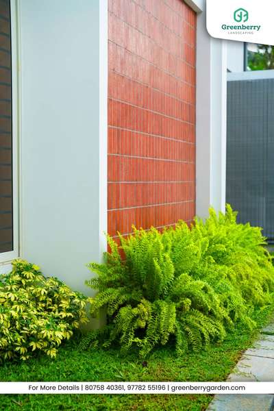 Premium Feel 🌿
Give your home a classy green touch ✨
Simple design, stunning impact 💚
Nature + Style = Perfect living space
#LuxuryLiving #GardenGoals #LandscapeKerala #ElegantHomes #GreenVibes #ModernLiving #OutdoorDesign #KeralaStyleHouse