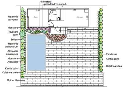 Planting plan for Airbnb 
 #landscapearchitecture 
 #LandscapeIdeas 
#airbnb
