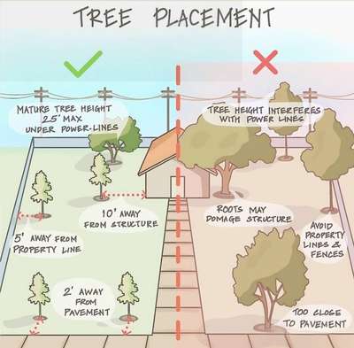 #LandscapeIdeas